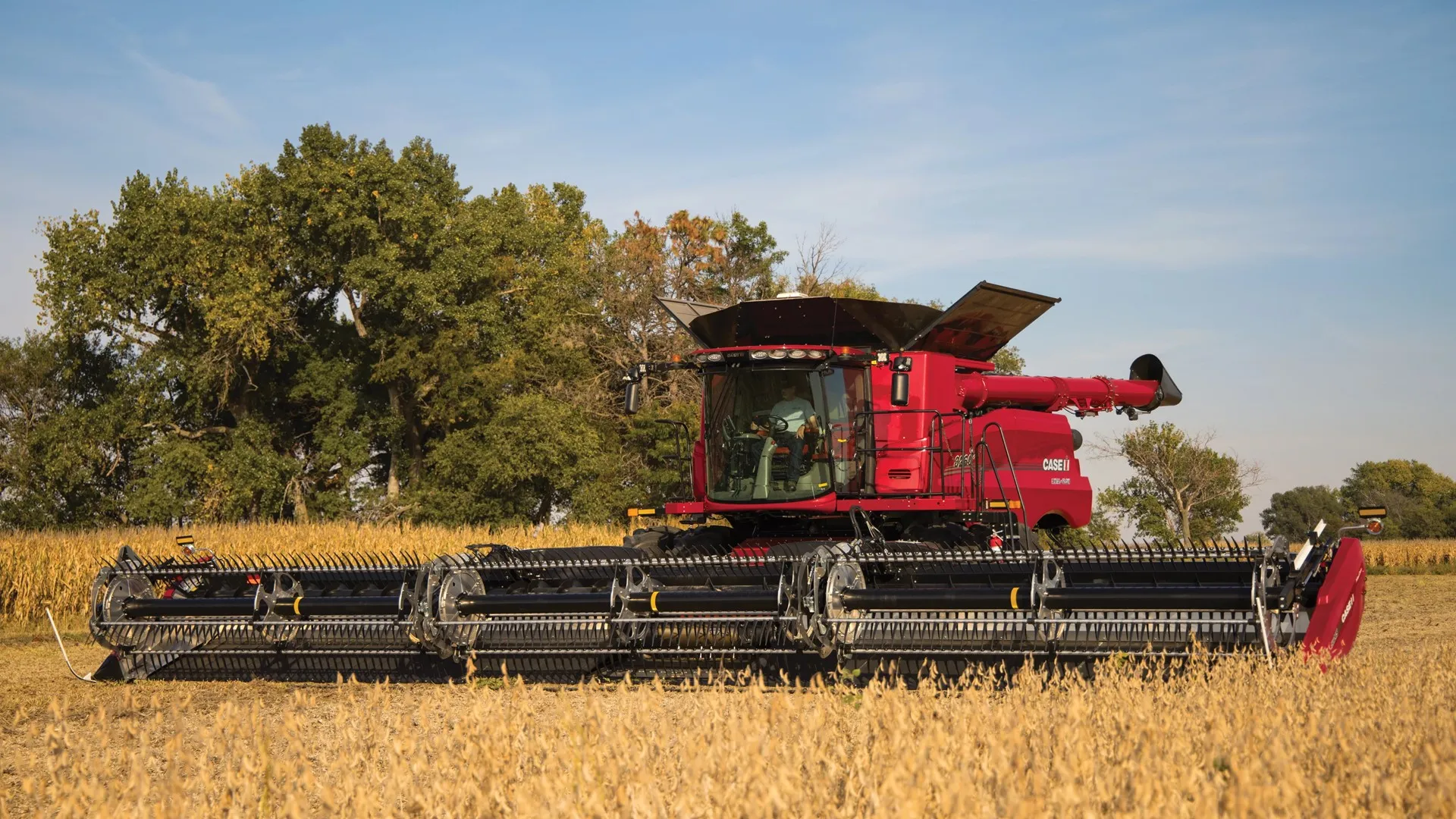 Combine harvesting a wheat field